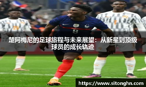 zoty中欧