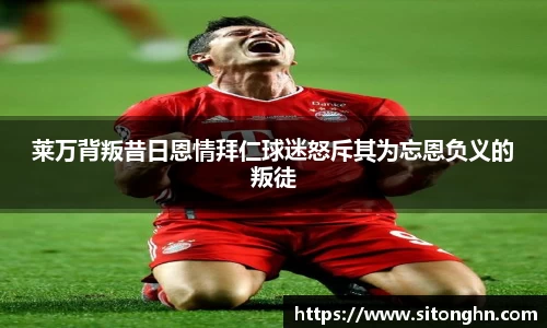 zoty中欧官方网站